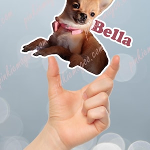 Stickers personnalisés pour portrait d'animal de compagnie - Stickers vinyles imperméables personnalisés pour les amoureux des animaux de compagnie, plusieurs tailles, cadeaux pour amoureux des animaux de compagnie