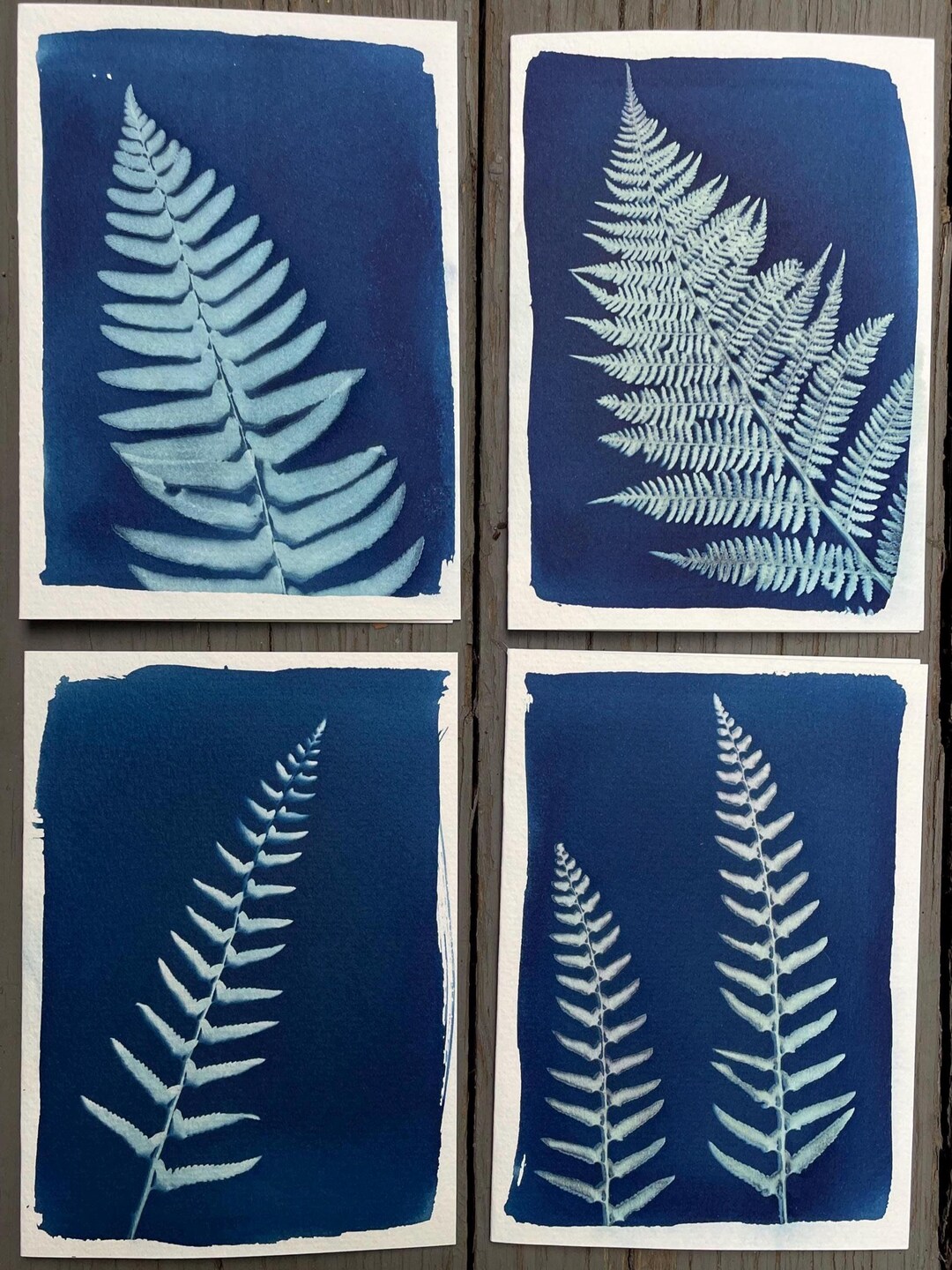 Set of 4 Handmade FERN Cyanotype Cards for All Occasions - Etsy