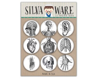 May include: Set of nine anatomical illustration buttons featuring a brain, skeleton, ear, heart, lungs, rib cage, foot, skull, and hand. The buttons are white with black illustrations and the text "SILVA WARE BY WALTER SILVA MADE IN USA".