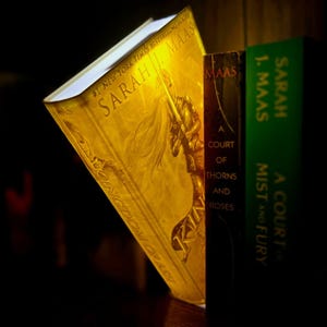 May include: A stack of books by Sarah J. Maas, including "Kingdom of Ash," "A Court of Thorns and Roses," and "A Court of Mist and Fury." The books are on a wooden shelf, with the cover of "Kingdom of Ash" illuminated in gold.