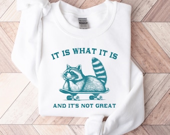 It Is What It Is Funny Raccoon Sweatshirt, Trash Panda Meme Shirt, Vintage Mood Gift, Mental Health Tee, Preppy Y2K Aesthetic Clothes