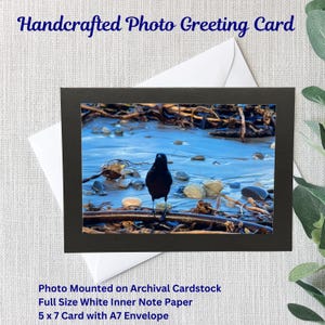 Handgemachte Natur-Foto-Grußkarte | Krähe | Meeresküste | Seetang | 13x18 Karte | 4x6 glänzend Foto | Schwarzer Archivkarton | Weißer A7 Umschlag