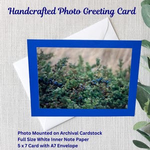 Handgemachte Natur-Foto-Grußkarte | Wacholderbusch | Beeren | 13x18 Karte | 4x6 glänzend Foto | Blauer Archival Cardstock | Weißer A7 Umschlag