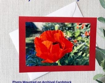 Handmade Nature Photo Greeting Card | Red Poppy | 5x7 Card | 4x6 Glossy Photo | Red Archival Cardstock