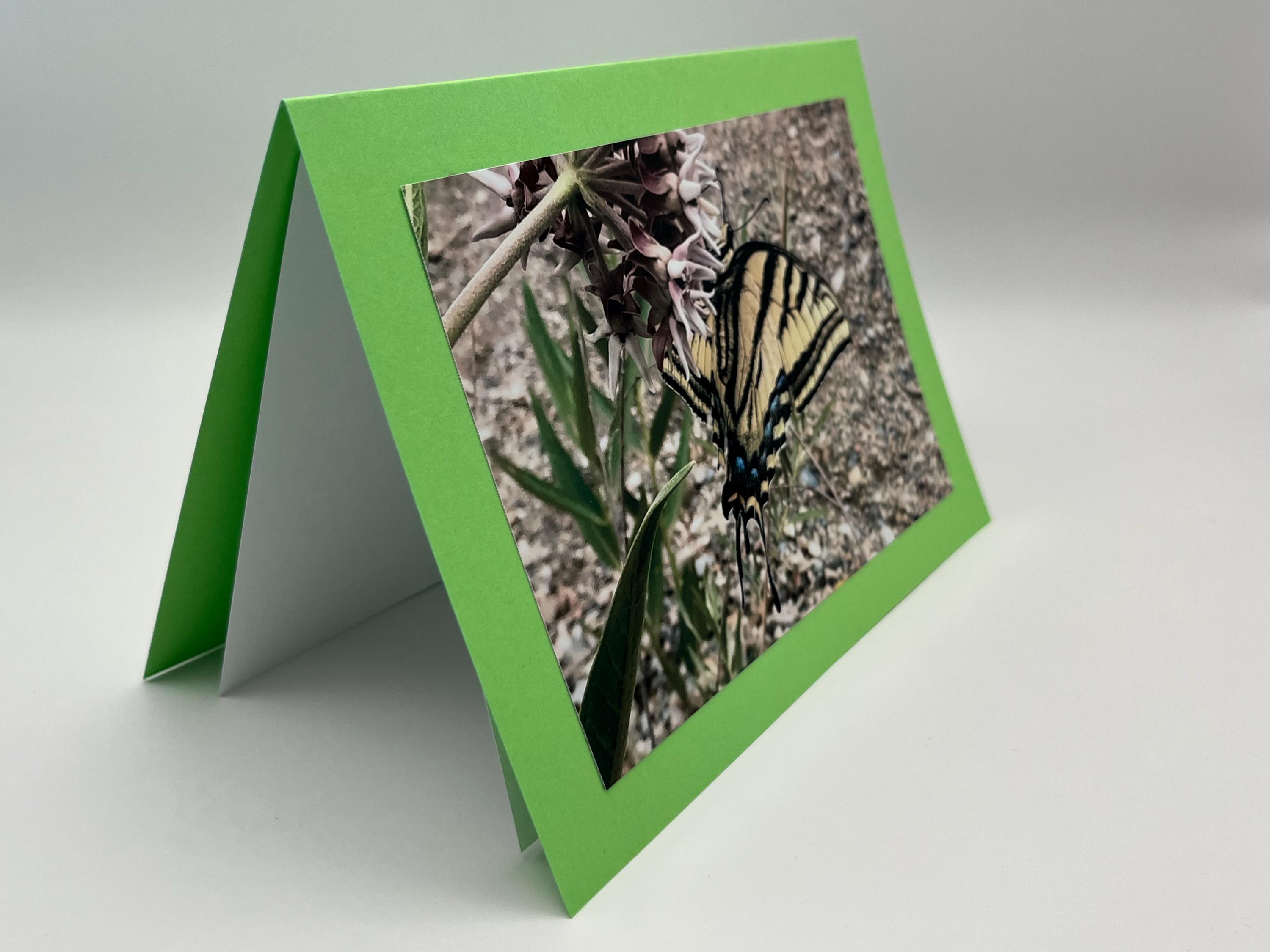 Handmade Nature Photo Greeting Card Swallowtail | Butterfly | 5x7 Card ...