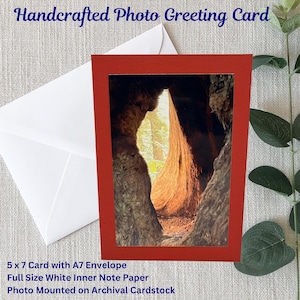 Carte de voeux photo faite main de nature | Lumière du soleil | Écorce d'arbre | Carte 5 x 7 | Photo brillante 4 x 6 | papier cartonné rouge d'archives | Enveloppe A7 blanche