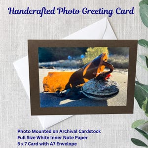 Handgemachte Natur-Foto-Grußkarte | Seetang | Muschel | Meeresküste | 13x18 Karte | 4x6 glänzend Foto | Brauner Archival Cardstock | Weißer A7 Umschlag