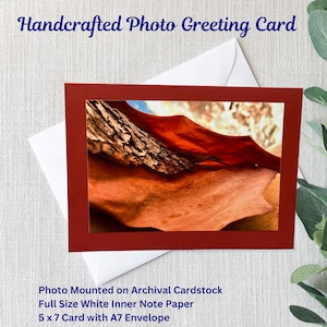 Biglietto d'auguri con foto della natura fatto a mano / Madrona / Corteccia d'albero / Biglietto 5x7 / Foto lucida 4x6 / Cartoncino rosso d'archivio / Busta bianca A7