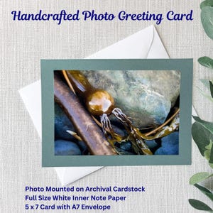 Biglietto d'auguri con foto della natura fatto a mano / Costa di Washington / Riva / Kelp / Biglietto 5x7 / Foto lucida 4x6 / Cartoncino d'archivio verde acqua chiaro / Bianco A7