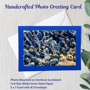 Handgemachte Natur-Foto-Grußkarte | Muscheln | Küste von Mahagoni | 13x18 Karte | 4x6 glänzend Foto | Blauer Archival Cardstock | Weißer A7 Umschlag