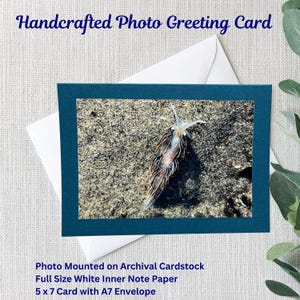 Handgemachte Natur-Foto-Grußkarte | Ozean | Nacktschnecke | Sand | 13x18 Karte | 4x6 glänzend Foto | Türkisfarbener Archivkarton | Weißer A7 Umschlag