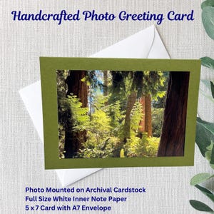 Cartão de felicitações com fotos da natureza feito à mão | Árvores de cedro | B.C. Canadá | Cartão 5x7 | Foto brilhante 4x6 | Cartão de arquivo verde | Envelope A7 branco
