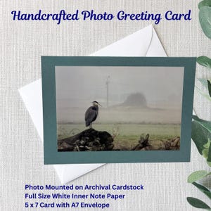 Handgemachte Natur-Foto-Grußkarte | Reiher | Nebelfeld | 13x18 Karte | 4x6 glänzend Foto | Lt Teal Archival Cardstock | Weiß A7
