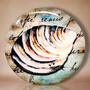 May include: A circular decorative object featuring a central illustration of a striped seashell in shades of white, brown, and black. The background consists of a light blue and tan wash with black cursive script text layered over the surface.