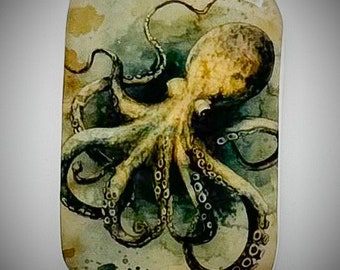 Octopus 35mm x50mm rounded rectangle
