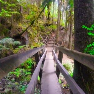 Crossing a wooden bridge