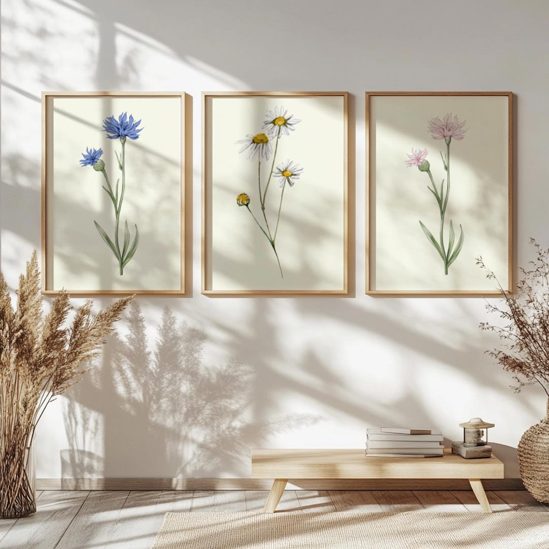 Flower Line Art, Set of 3 Prints, Floral Print, Flower Wall Art ...