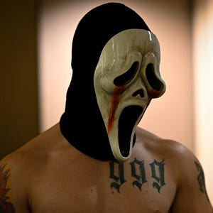 Custom Character Cosplay Mask: Hand-Painted Mask