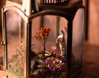 Terrarios de taxidermia con linternas: polillas, escarabajos, mariposas, calaveras y huesos
