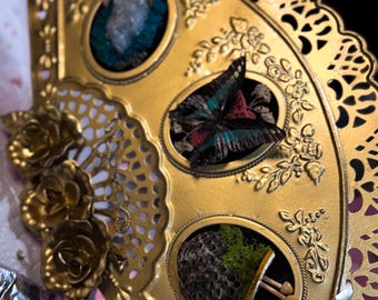 Terrarios de taxidermia Gold Fan: polillas, escarabajos, mariposas, cráneos y huesos