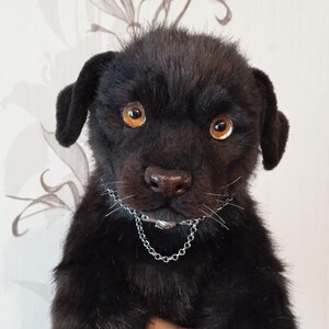 May include: A black plush puppy with amber eyes and a silver chain collar. The soft toy has dark fur and is held up in front of a patterned background. The puppy's expression is alert and curious.