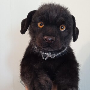 May include: A black plush puppy with amber eyes and a silver chain collar. The soft toy has a furry texture and is held up against a white background. The puppy's nose is brown.