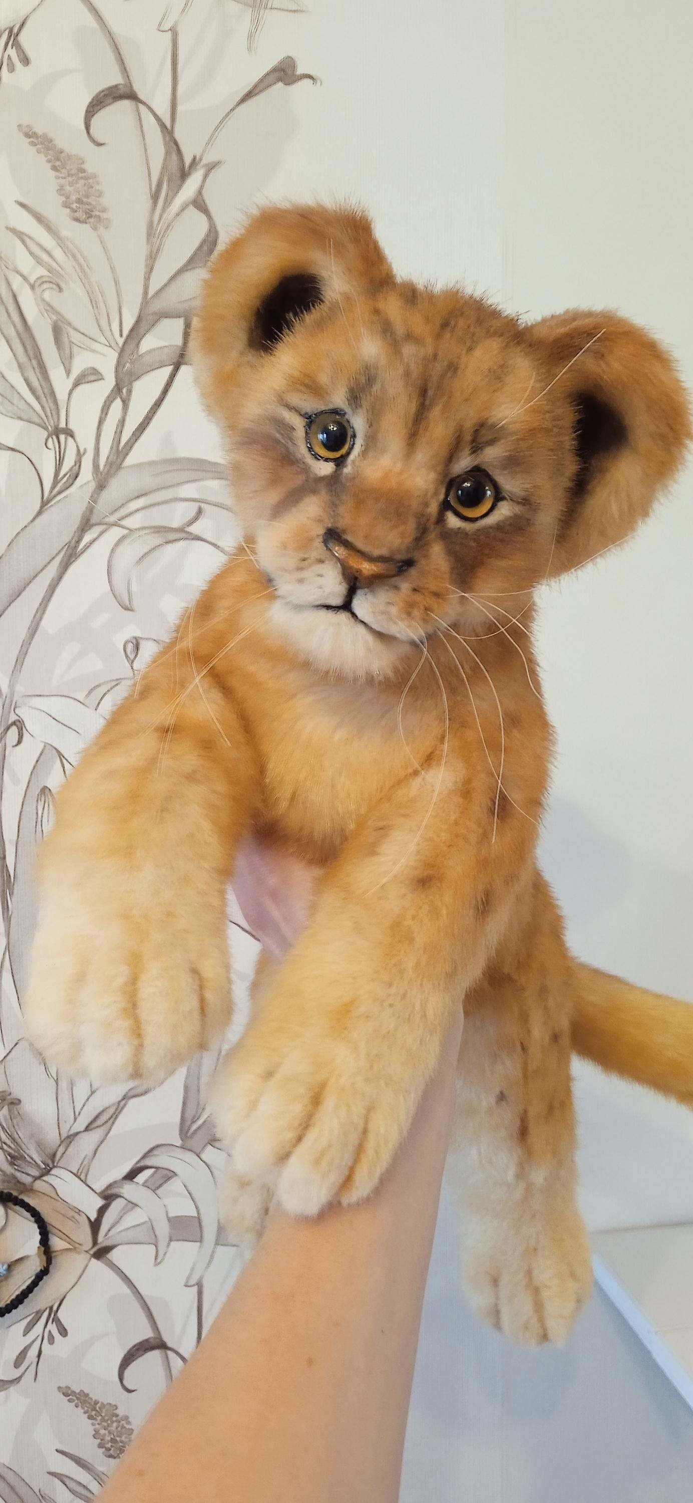 ファークラフト ライオン 【公式通販】