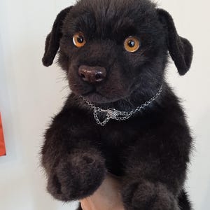 May include: A black plush puppy with amber eyes and a silver chain collar. The soft toy has dark fur and floppy ears. The puppy is being held up by a person.