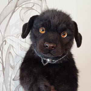May include: A black plush puppy with amber eyes and a silver chain collar. The handmade stuffed animal has a soft, furry texture. It is held up in front of a floral patterned background.