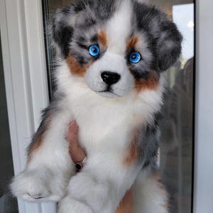 May include: A plush toy puppy with long, soft fur in a merle pattern of gray, white, and tan. The stuffed animal features bright, round, electric blue eyes, a black nose, and floppy ears, designed to realistically mimic an Australian Shepherd.