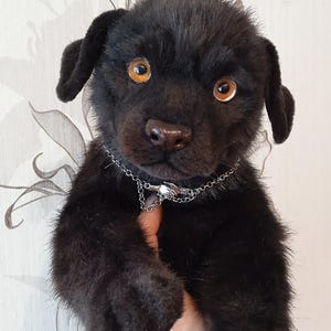 May include: A black plush puppy with amber eyes and a silver chain collar. The handmade stuffed animal has a realistic appearance and is held up against a floral patterned background.