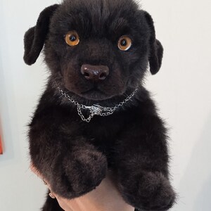 May include: A black plush puppy with amber eyes and a silver chain collar. The stuffed animal has soft, dark fur and floppy ears. The puppy is a cute, cuddly toy.