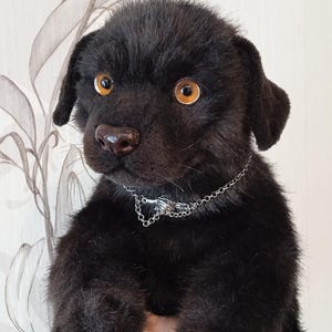 May include: A black plush puppy with amber eyes and a silver chain collar. The soft toy has a furry texture and a realistic appearance, with a detailed nose and ears. The puppy is a charming, handcrafted item.
