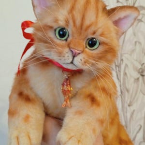 How Big Do Tinker Toy Cats Get: Surprising Size Facts Revealed