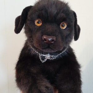 May include: A black plush puppy with amber eyes and a silver chain collar. The stuffed animal has a realistic appearance, with detailed fur and a lifelike expression. The puppy is being held up.