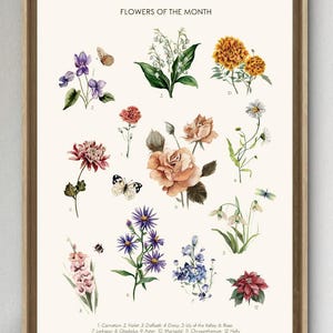 I fiori del mese – Poster botanico vintage