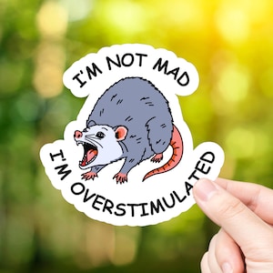 May include: A sticker with a cartoon possum with a red tail, with the text "I'm not mad I'm overstimulated" around it.