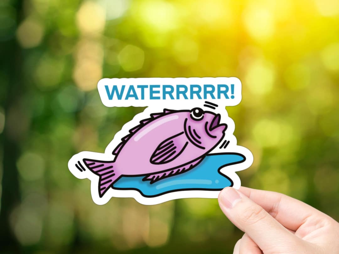 Fish Out of Water Vinyl Sticker: Funny Decal - Etsy