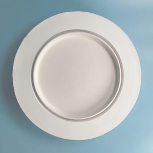 Puede incluir: Un plato de papel blanco con un borde ligeramente elevado. El plato es redondo y tiene una superficie lisa.