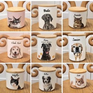 Hand-painted ceramic pet memorial urn, custom realistic portrait