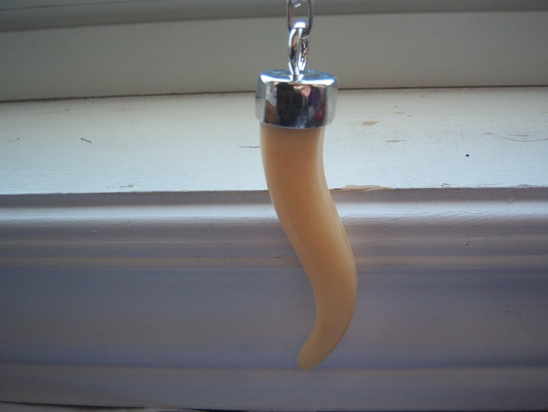 Free Gift Tribal Necklace Layering Necklace Single Claw Horn Necklace Horn Necklace