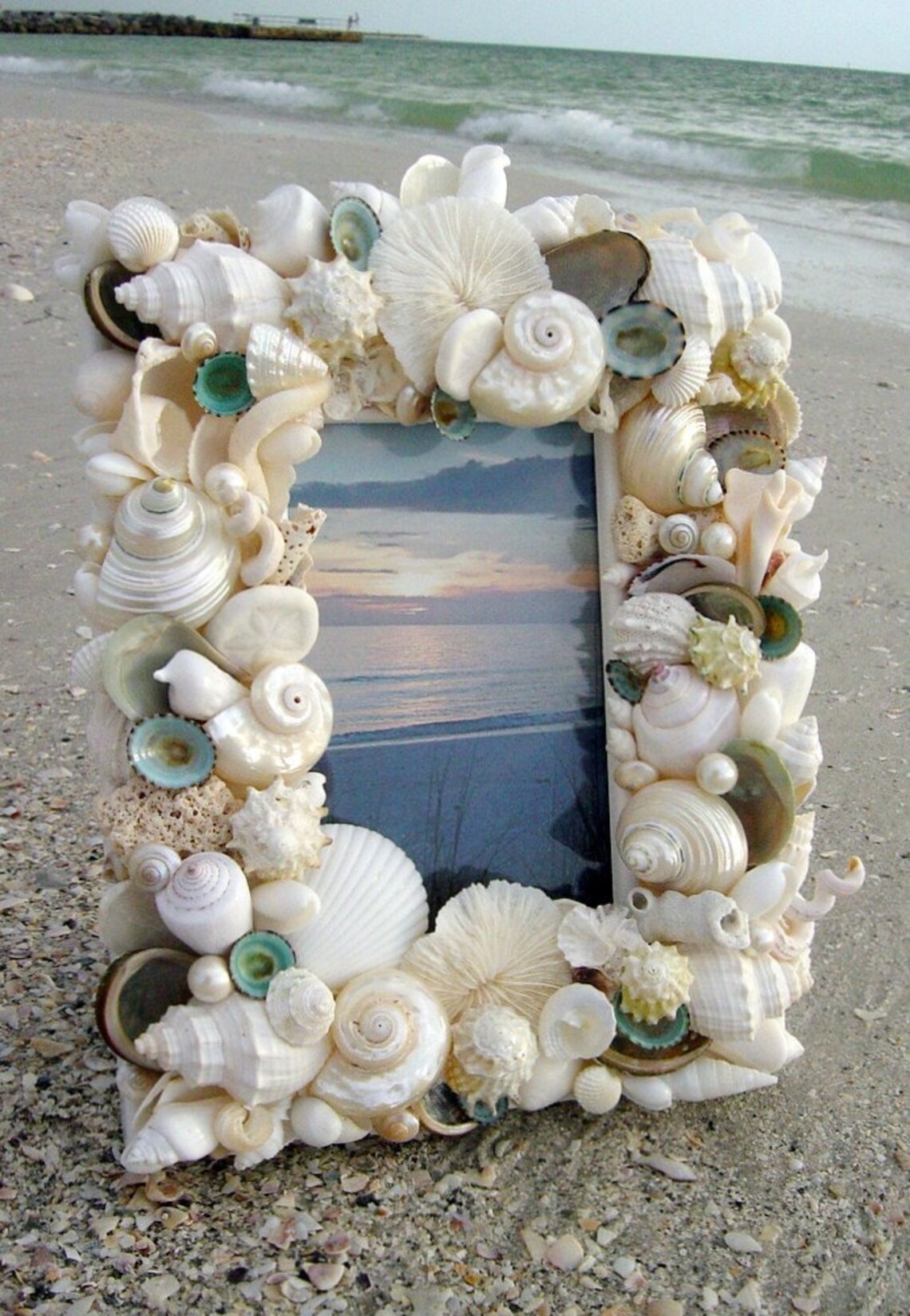 PALM BEACH SHELLED WEDDING FRAME I Etsy