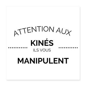 Physiotherapy practice poster 40x40 &quot;Beware of physiotherapists, they manipulate you&quot; Physiotherapy practice wall decoration, original physiotherapy gift, physiotherapy practice gift