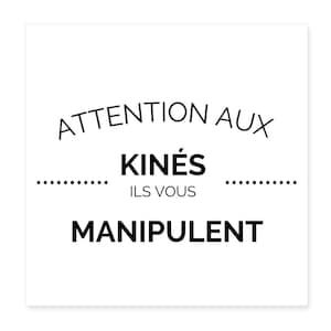 Physiotherapy practice poster 20x20 &quot;Beware of physiotherapists, they manipulate you&quot; Physiotherapy practice wall decoration, original physiotherapy gift, physiotherapy practice gift