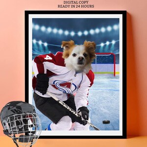 Colorado avalanche dog jersey hotsell