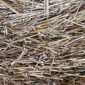 May include: A close-up of a pile of dry, brown hay. The hay is tangled and appears to be made up of long, thin stalks.