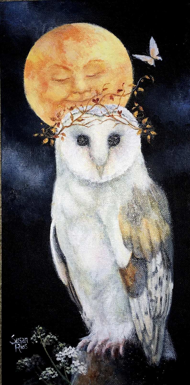 Owl Art Print White Owl White Barn Owl Bird Art Bird | Etsy