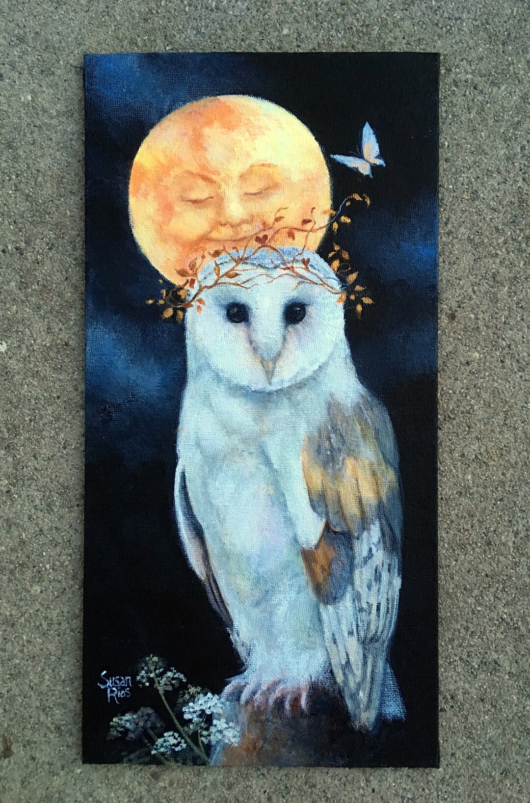 Owl Art Print, White Owl, White Barn Owl, Bird Art, Bird Decor, Owl