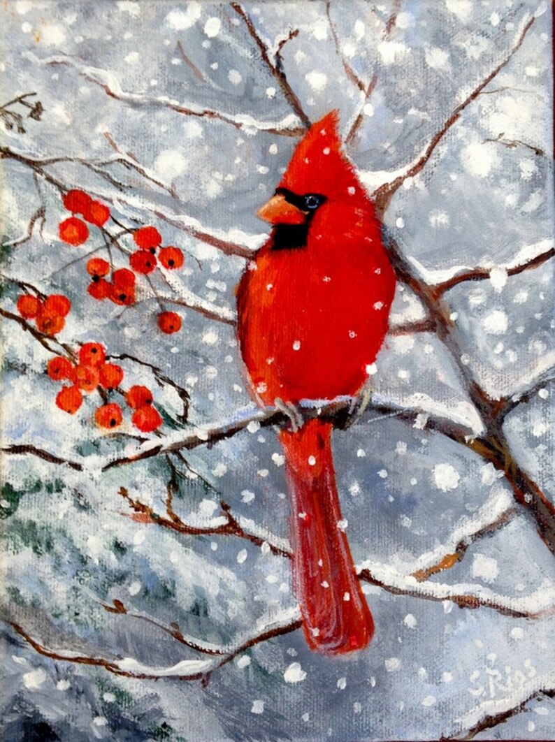 cardinal red 3 gs