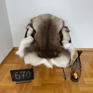 Reindeer Hide Exclusive Unique Giant Size 137 x 101 cm Reindeer Skin Scandinavian Style Reindeer Rug Rentierfell Peau de Renne Pelle renna